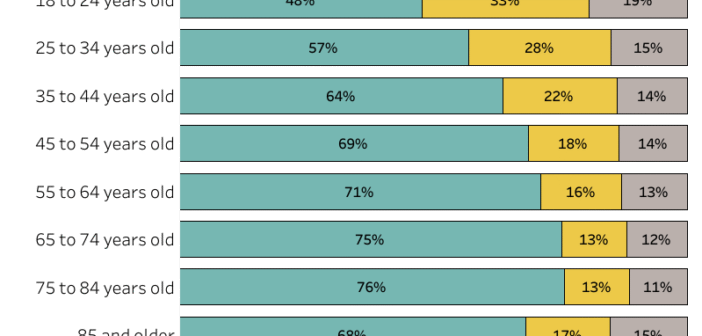 Breaking Down Voter Turnout in the 2024 Presidential Election